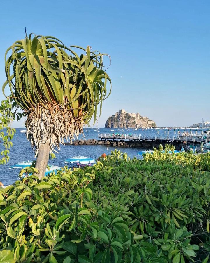 Maison Mele Ischia Bagian luar foto