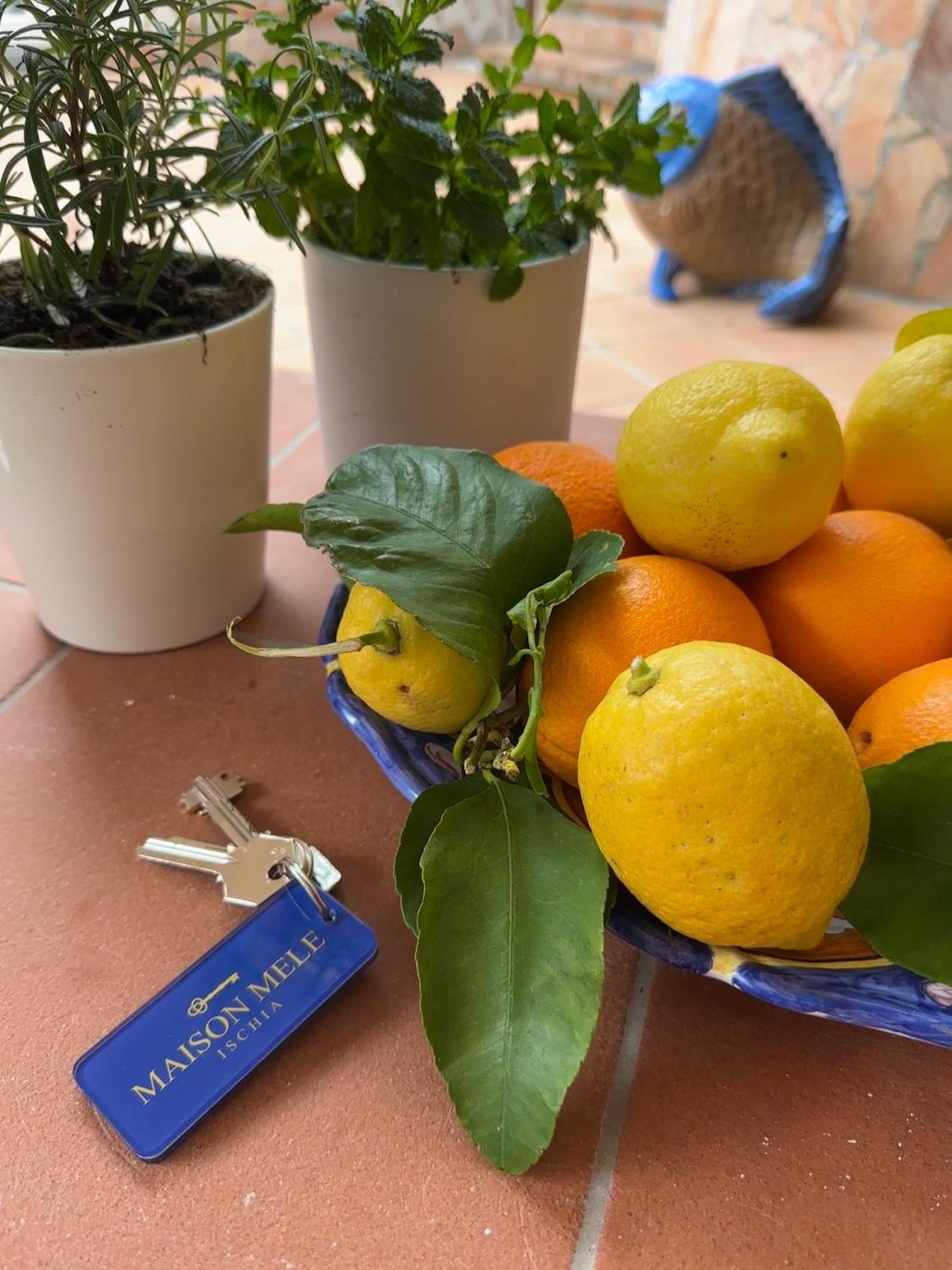Maison Mele Ischia Bagian luar foto